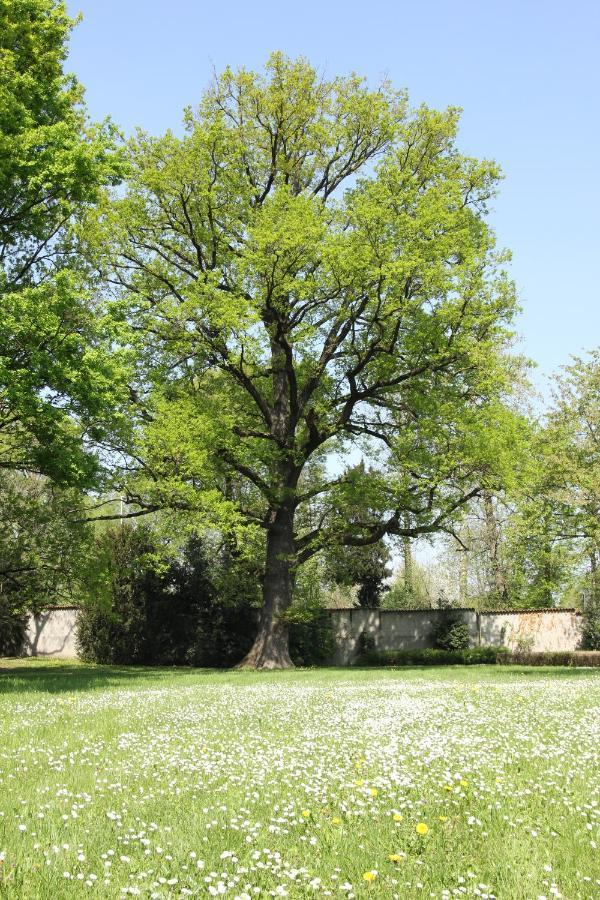 Storica Quercia B&B Nerviano Kültér fotó